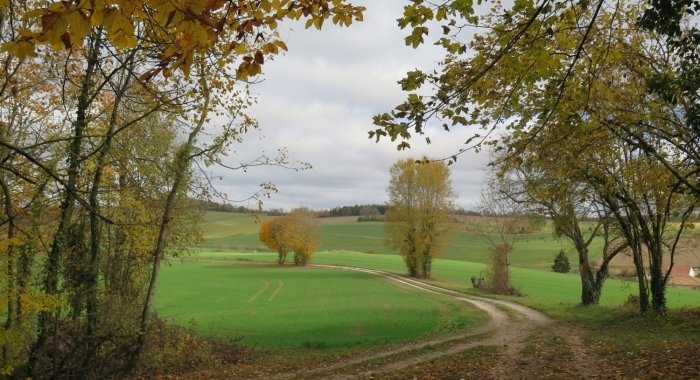 Office de tourisme "Coeur de Lorraine"